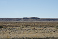 NAMIB0269_DSC02147 - Bernhard Saalfeld