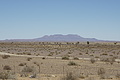 NAMIB0274_DSC02154 - Bernhard Saalfeld