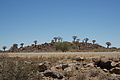 NAMIB0278_DSC06548 - Bernhard Saalfeld