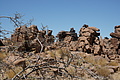 NAMIB0296_DSC06563 - Bernhard Saalfeld