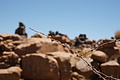 NAMIB0303_DSC06570 - Bernhard Saalfeld