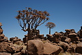 NAMIB0308_DSC06575 - Bernhard Saalfeld