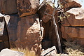 NAMIB0314_DSC06581 - Bernhard Saalfeld