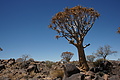 NAMIB0316_DSC06583 - Bernhard Saalfeld