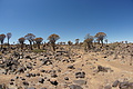 NAMIB0321_DSC06588 - Bernhard Saalfeld