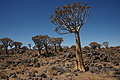 NAMIB0325_DSC06592 - Bernhard Saalfeld