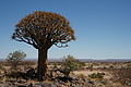 NAMIB0327_DSC06594 - Bernhard Saalfeld