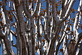NAMIB0329_DSC06596 - Bernhard Saalfeld