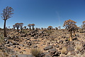 NAMIB0331_DSC06598 - Bernhard Saalfeld