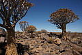 NAMIB0344_DSC06611 - Bernhard Saalfeld
