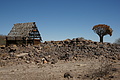 NAMIB0351_DSC06618 - Bernhard Saalfeld