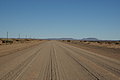 NAMIB0380_DSC06644 - Bernhard Saalfeld