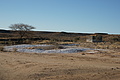NAMIB0382_DSC06646 - Bernhard Saalfeld