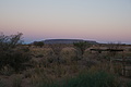 NAMIB0390_DSC06654 - Bernhard Saalfeld