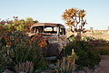 NAMIB0412_DSC06681 - Bernhard Saalfeld