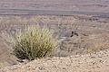 NAMIB0419_DSC02168 - Bernhard Saalfeld
