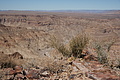 NAMIB0476_DSC06720 - Bernhard Saalfeld