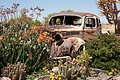 NAMIB0496_DSC06740 - Bernhard Saalfeld