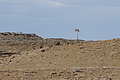 NAMIB0517_DSC02193 - Bernhard Saalfeld