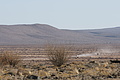 NAMIB0520_DSC02196 - Bernhard Saalfeld
