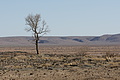 NAMIB0521_DSC02197 - Bernhard Saalfeld