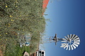 NAMIB0525_DSC06768 - Bernhard Saalfeld