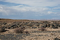 NAMIB0550_DSC06777 - Bernhard Saalfeld