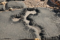NAMIB0551_DSC06778 - Bernhard Saalfeld