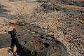 NAMIB0552_DSC06779 - Bernhard Saalfeld