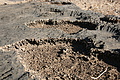 NAMIB0553_DSC06780 - Bernhard Saalfeld