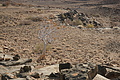 NAMIB0562_DSC06788 - Bernhard Saalfeld