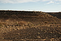 NAMIB0572_DSC06799 - Bernhard Saalfeld