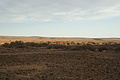 NAMIB0576_DSC06803 - Bernhard Saalfeld