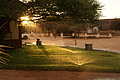 NAMIB0585_DSC06812 - Bernhard Saalfeld