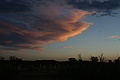 NAMIB0590_DSC06817 - Bernhard Saalfeld