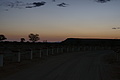 NAMIB0591_DSC06818 - Bernhard Saalfeld