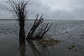 DSCF3068 - Bernhard Saalfeld