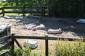 DSCF3166 - Bernhard Saalfeld