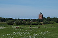 DSCF3179 - Bernhard Saalfeld