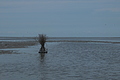 DSCF3218 - Bernhard Saalfeld
