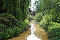 DSC04469 - Bernhard Saalfeld