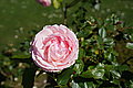 DSC04481 - Bernhard Saalfeld