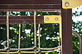 DSC04563 - Bernhard Saalfeld