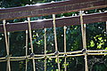 DSC04566 - Bernhard Saalfeld