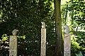 L1000803 - Bernhard Saalfeld