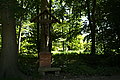 L1000805 - Bernhard Saalfeld