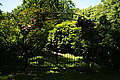 L1000807 - Bernhard Saalfeld