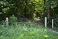 L1000808 - Bernhard Saalfeld