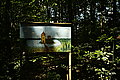 L1000812 - Bernhard Saalfeld