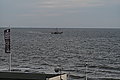 L1000862 - Bernhard Saalfeld
